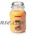 Yankee Candle Large Jar Candle, Mango Peach Salsa   563612134